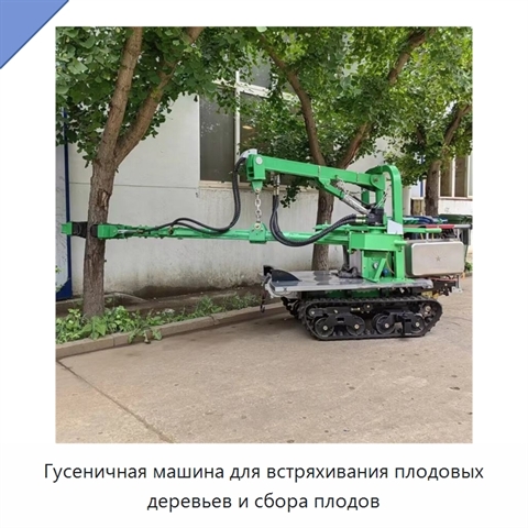 Гусеничная машина для встряхивания плодовых деревьев и сбора плодов