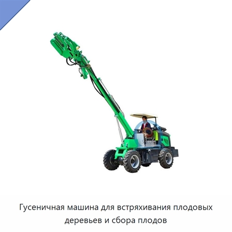 Гусеничная машина для встряхивания плодовых деревьев и сбора плодов