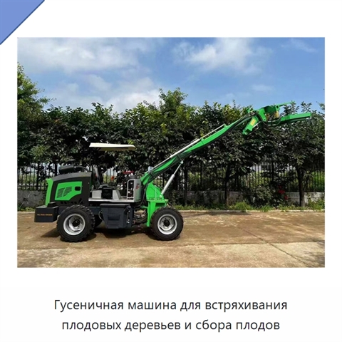 Гусеничная машина для встряхивания плодовых деревьев и сбора плодов