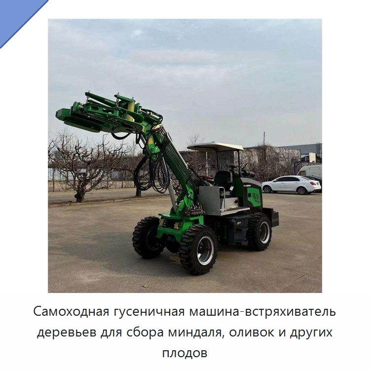 Самоходная гусеничная машина-встряхиватель деревьев для сбора миндаля, оливок и других плодов — Специальная строительная техника
