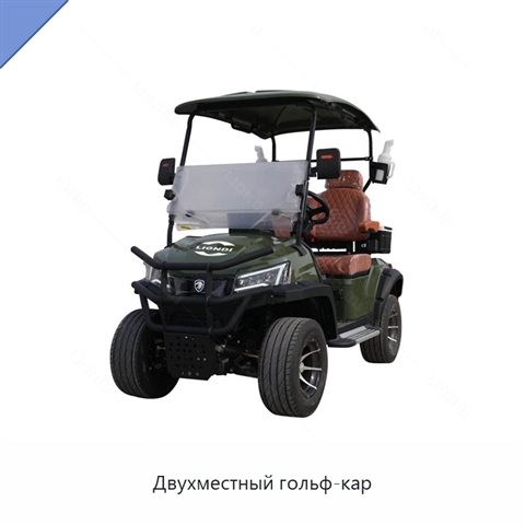 Двухместный гольф-кар