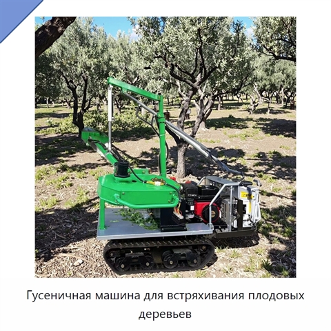 Гусеничная машина для встряхивания плодовых деревьев