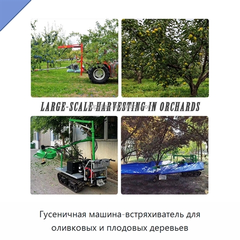 Гусеничная машина-встряхиватель для оливковых и плодовых деревьев