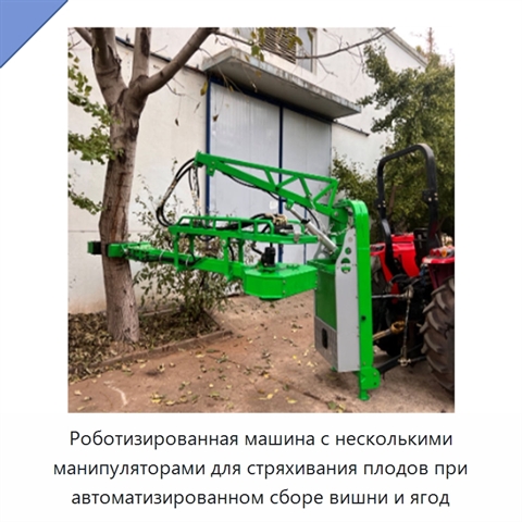 Роботизированная машина с несколькими манипуляторами для стряхивания плодов при автоматизированном сборе вишни и ягод