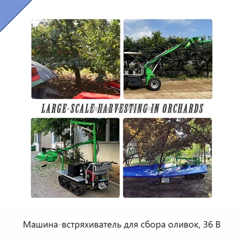 Машина-встряхиватель для сбора оливок, 36 В