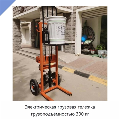 Электрическая грузовая тележка грузоподъёмностью 300 кг