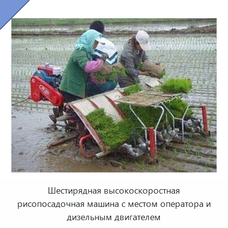 Шестирядная высокоскоростная рисопосадочная машина с местом оператора и дизельным двигателем
