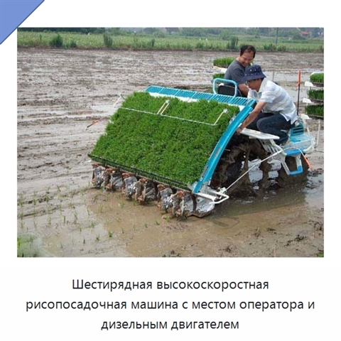 Шестирядная высокоскоростная рисопосадочная машина с местом оператора и дизельным двигателем