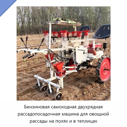 Бензиновая самоходная двухрядная рассадопосадочная машина для овощной рассады на полях и в теплицах