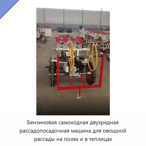 Бензиновая самоходная двухрядная рассадопосадочная машина для овощной рассады на полях и в теплицах