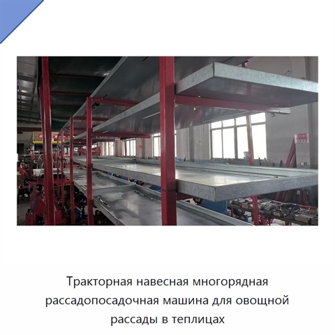Тракторная навесная многорядная рассадопосадочная машина для овощной рассады в теплицах