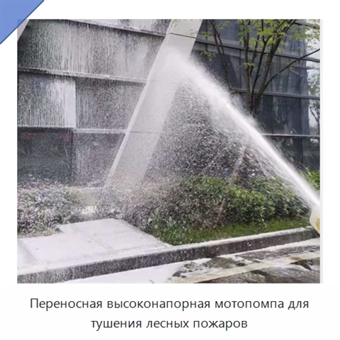 Переносная высоконапорная мотопомпа для тушения лесных пожаров