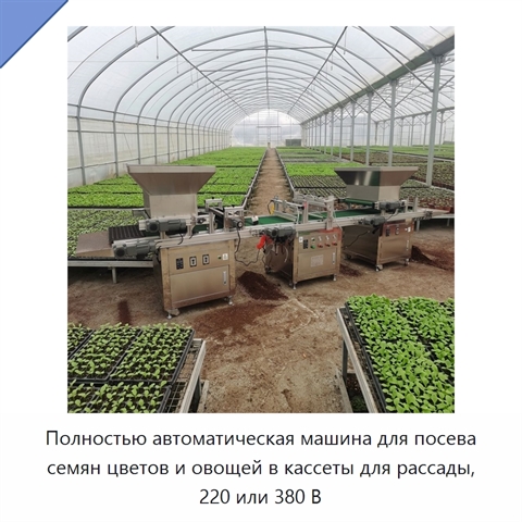 Полностью автоматическая машина для посева семян цветов и овощей в кассеты для рассады, 220 или 380 В