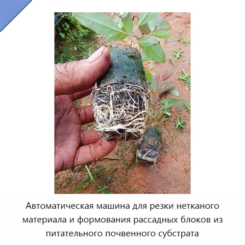 Автоматическая машина для резки нетканого материала и формования рассадных блоков из питательного почвенного субстрата