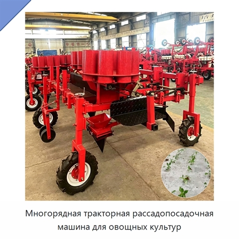 Многорядная тракторная рассадопосадочная машина для овощных культур