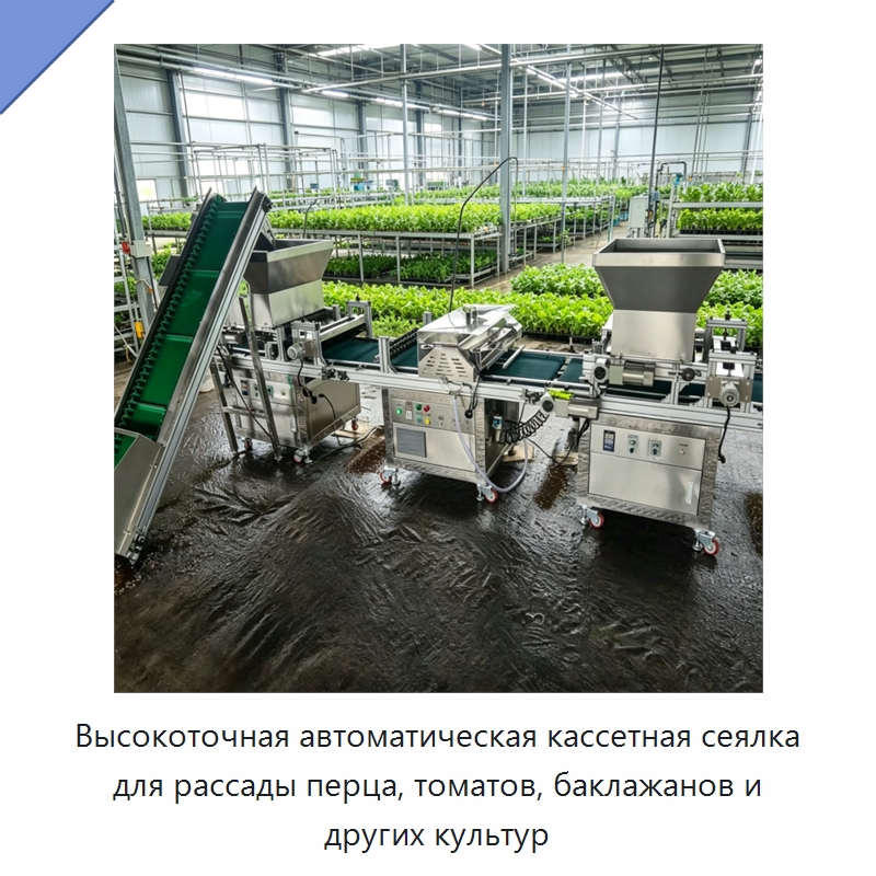 Высокоточная автоматическая кассетная сеялка для рассады перца, томатов, баклажанов и других культур — Специальные сельскохозяйственные машины