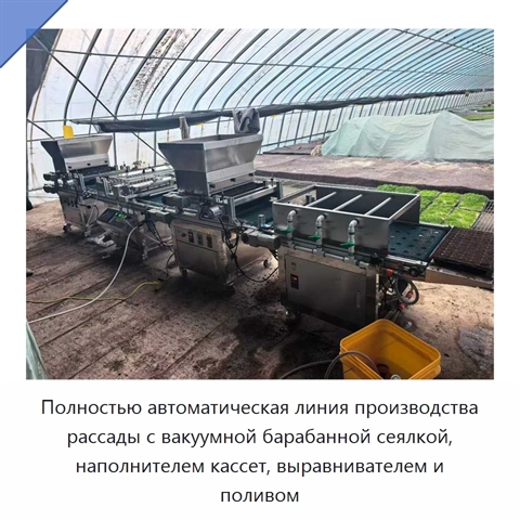 Полностью автоматическая линия производства рассады с вакуумной барабанной сеялкой, наполнителем кассет, выравнивателем и поливом