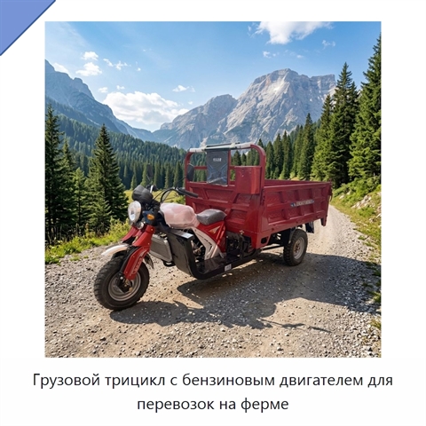 Грузовой трицикл с бензиновым двигателем для перевозок на ферме