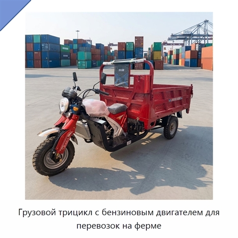 Грузовой трицикл с бензиновым двигателем для перевозок на ферме