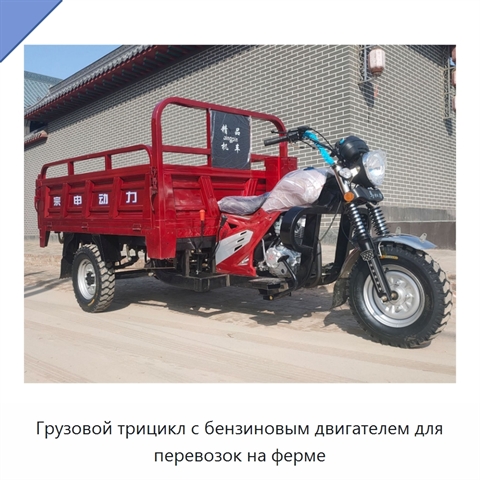 Грузовой трицикл с бензиновым двигателем для перевозок на ферме