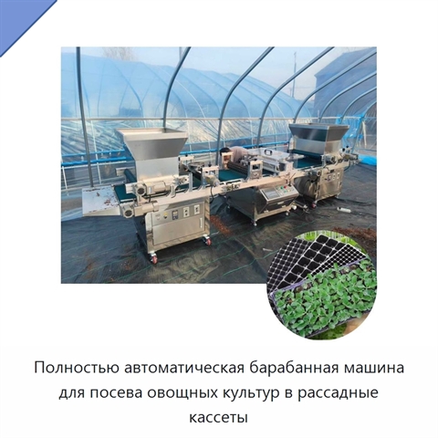 Полностью автоматическая барабанная машина для посева овощных культур в рассадные кассеты