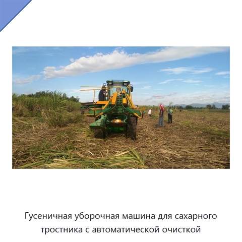Гусеничная уборочная машина для сахарного тростника с автоматической очисткой