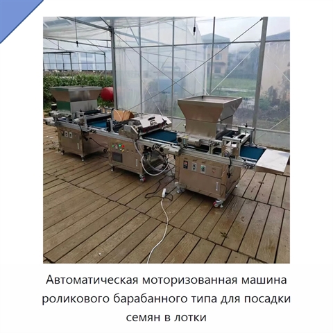 Автоматическая моторизованная машина роликового барабанного типа для посадки семян в лотки