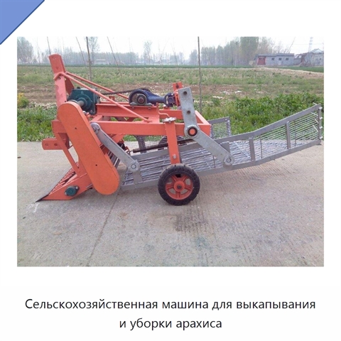 Сельскохозяйственная машина для выкапывания и уборки арахиса