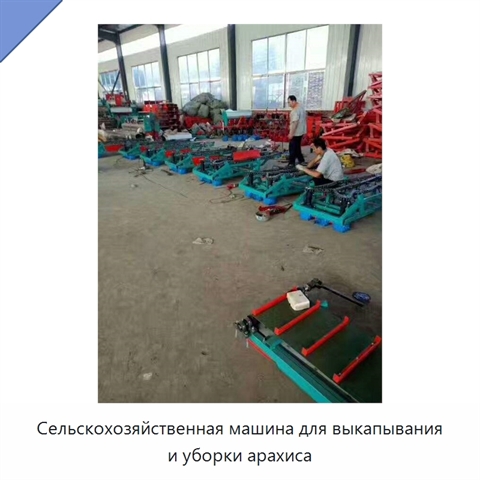 Сельскохозяйственная машина для выкапывания и уборки арахиса