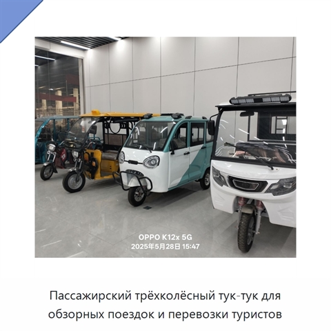 Пассажирский трёхколёсный тук-тук для обзорных поездок и перевозки туристов