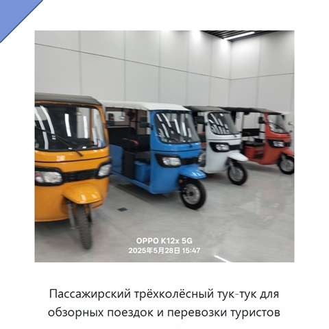 Пассажирский трёхколёсный тук-тук для обзорных поездок и перевозки туристов