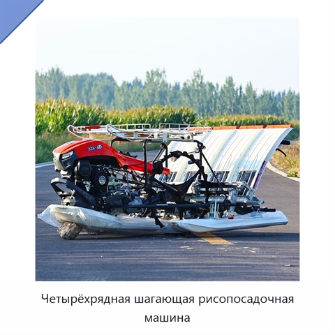 Четырёхрядная шагающая рисопосадочная машина
