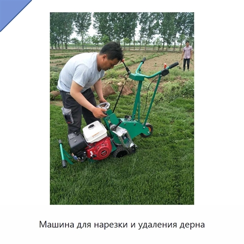 Машина для нарезки и удаления дерна