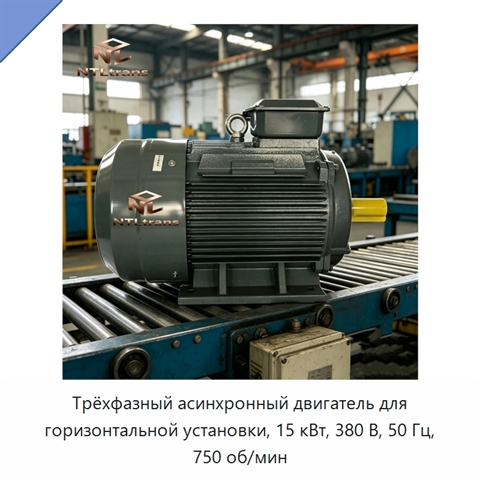 Трёхфазный асинхронный двигатель для горизонтальной установки, 15 кВт, 380 В, 50 Гц, 750 об/мин