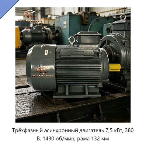 Трёхфазный асинхронный двигатель 7,5 кВт, 380 В, 1430 об/мин, рама 132 мм