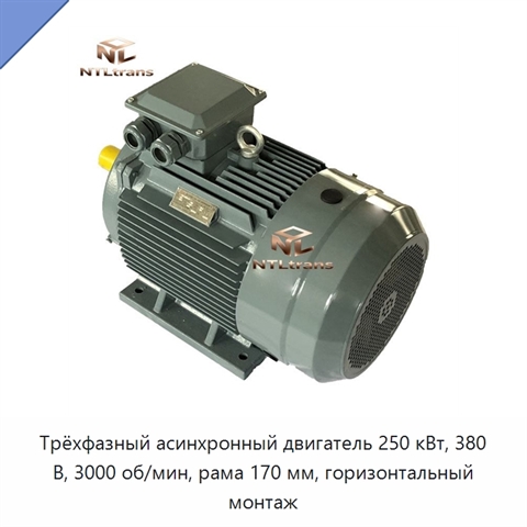Трёхфазный асинхронный двигатель 250 кВт, 380 В, 3000 об/мин, рама 170 мм, горизонтальный монтаж