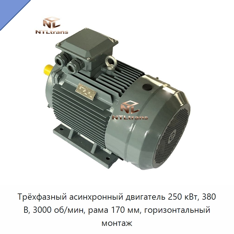 Трёхфазный асинхронный двигатель 250 кВт, 380 В, 3000 об/мин, рама 170 мм, горизонтальный монтаж — Электродвигатели постоянного тока