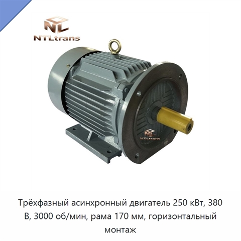 Трёхфазный асинхронный двигатель 250 кВт, 380 В, 3000 об/мин, рама 170 мм, горизонтальный монтаж