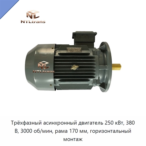 Трёхфазный асинхронный двигатель 250 кВт, 380 В, 3000 об/мин, рама 170 мм, горизонтальный монтаж