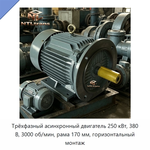 Трёхфазный асинхронный двигатель 250 кВт, 380 В, 3000 об/мин, рама 170 мм, горизонтальный монтаж
