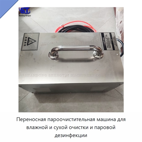 Переносная пароочистительная машина для влажной и сухой очистки и паровой дезинфекции