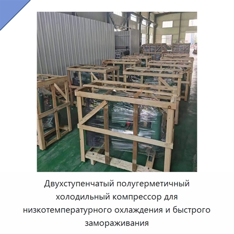 Двухступенчатый полугерметичный холодильный компрессор для низкотемпературного охлаждения и быстрого замораживания