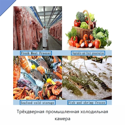 Трёхдверная промышленная холодильная камера