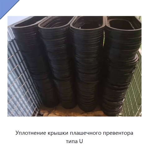 Уплотнение крышки плашечного превентора типа U