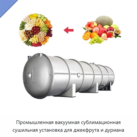 Промышленная вакуумная сублимационная сушильная установка для джекфрута и дуриана