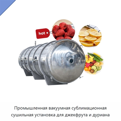 Промышленная вакуумная сублимационная сушильная установка для джекфрута и дуриана