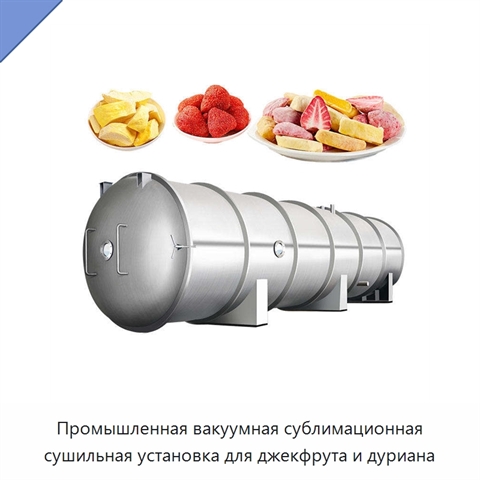 Промышленная вакуумная сублимационная сушильная установка для джекфрута и дуриана