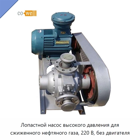 Лопастной насос высокого давления для сжиженного нефтяного газа, 220 В, без двигателя