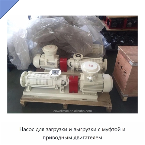 Насос для загрузки и выгрузки с муфтой и приводным двигателем
