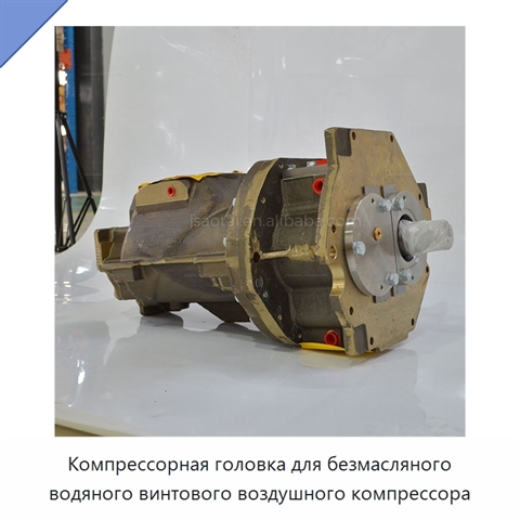 Компрессорная головка для безмасляного водяного винтового воздушного компрессора